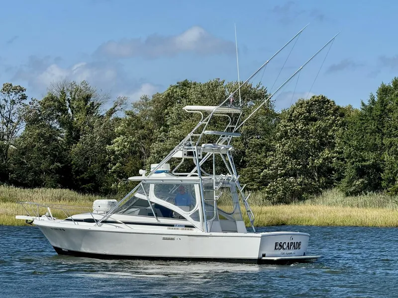 Slide: The Image of Blackfin 29 Combi 1997 - 5631941