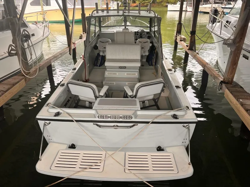 Slide: The Image of Shamrock 26 1989 - 5678384