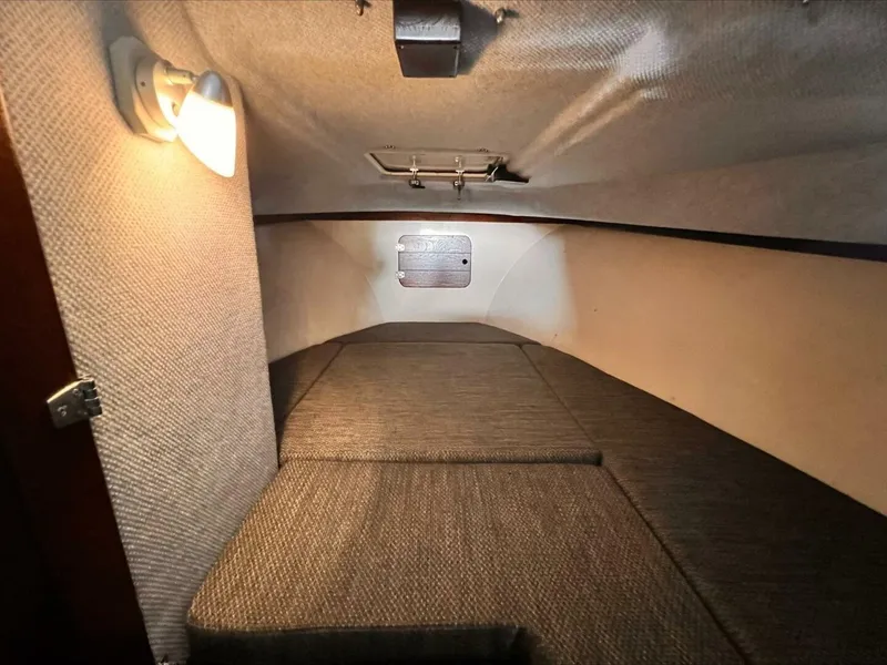 Slide: The Image of Shamrock 26 1989 - 5637636