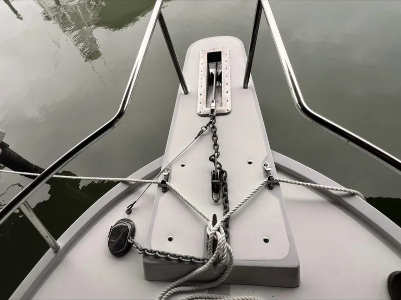 Slide: The Image of Shamrock 26 1989 - 5678397