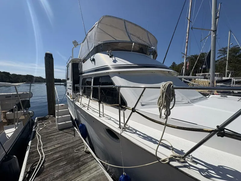 Slide: The Image of Aquarius 45 1988 - 5634583