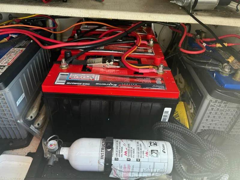 Slide: The Image of Stuart 26 2014 - 5636552