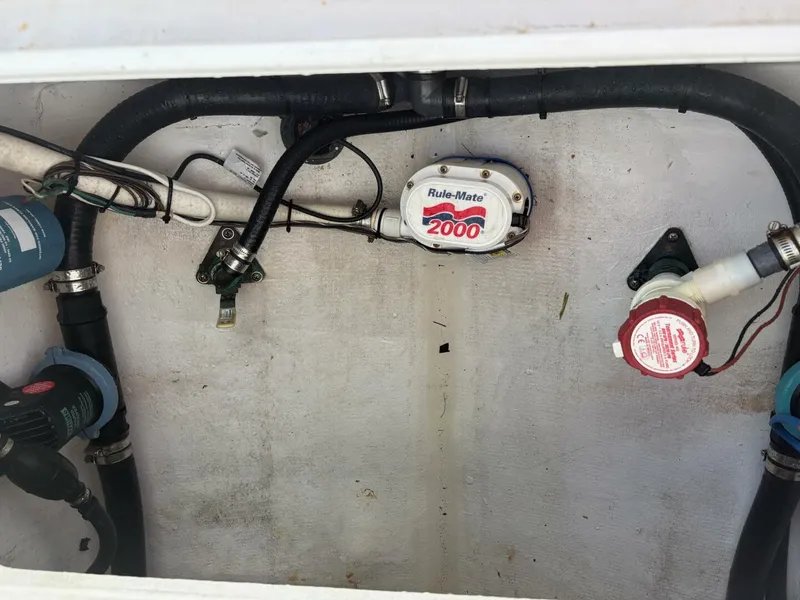 Slide: The Image of Stuart 26 2014 - 5636550