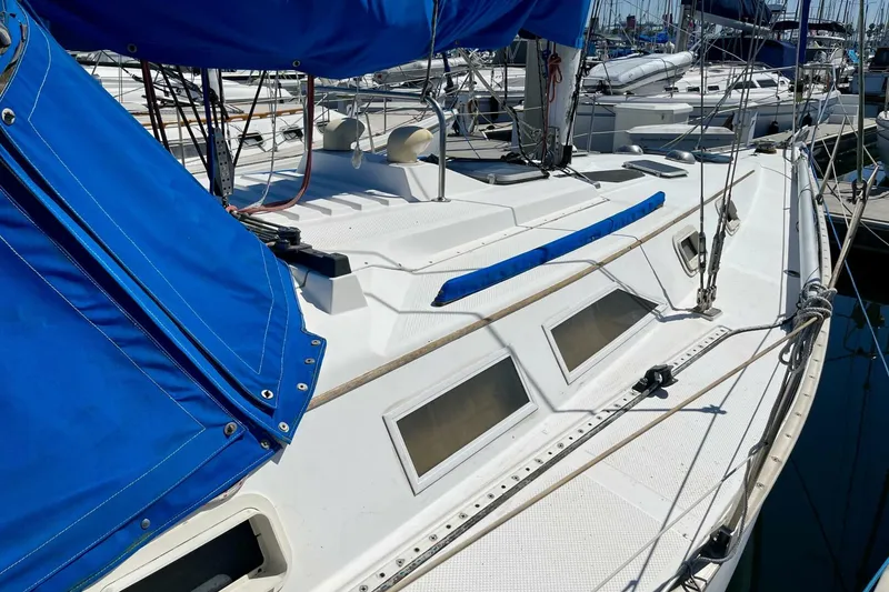 Slide: The Image of Hunter 34 1984 - 5638507