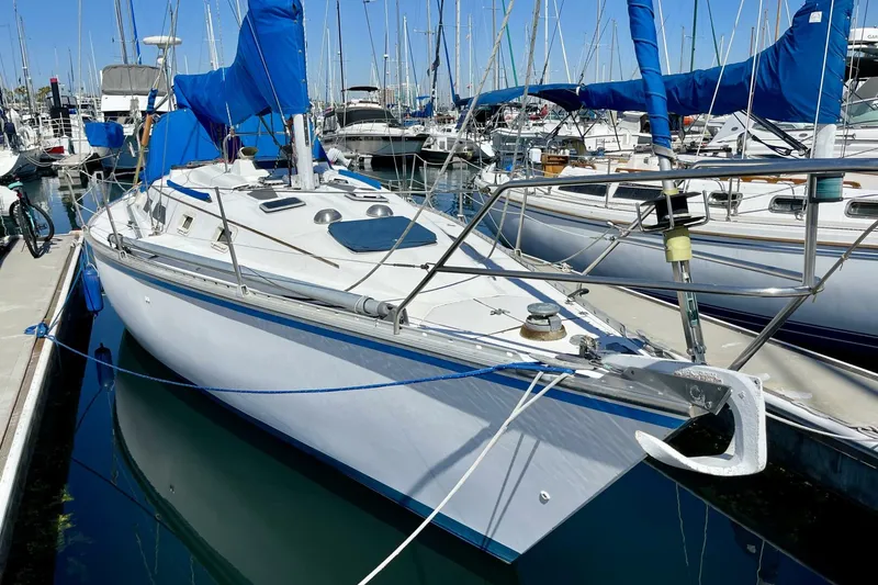 Slide: The Image of Hunter 34 1984 - 5638508