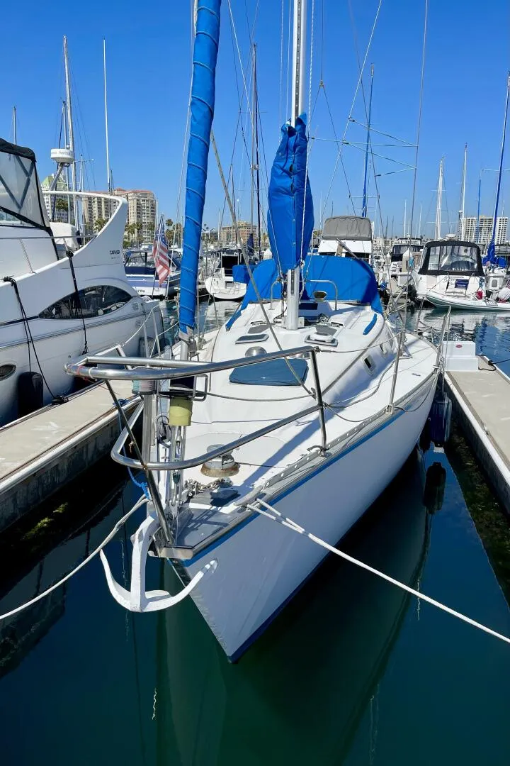 Slide: The Image of Hunter 34 1984 - 5638499