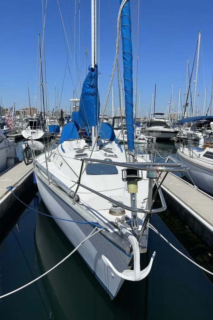 Slide: The Image of Hunter 34 1984 - 5638500