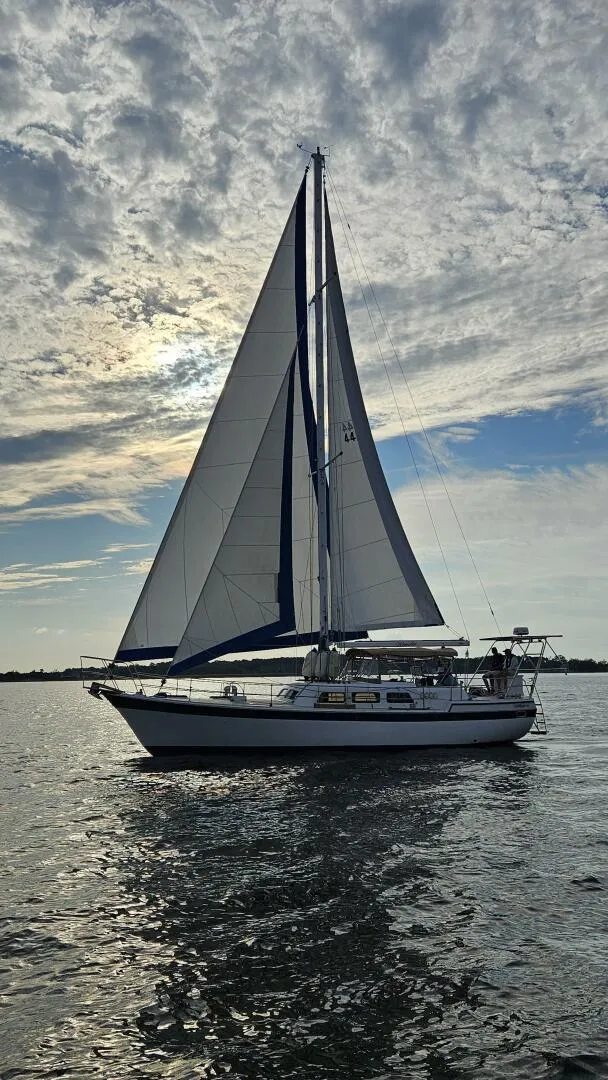 Slide: The Image of Wellington Cutter 1980 - 5644911