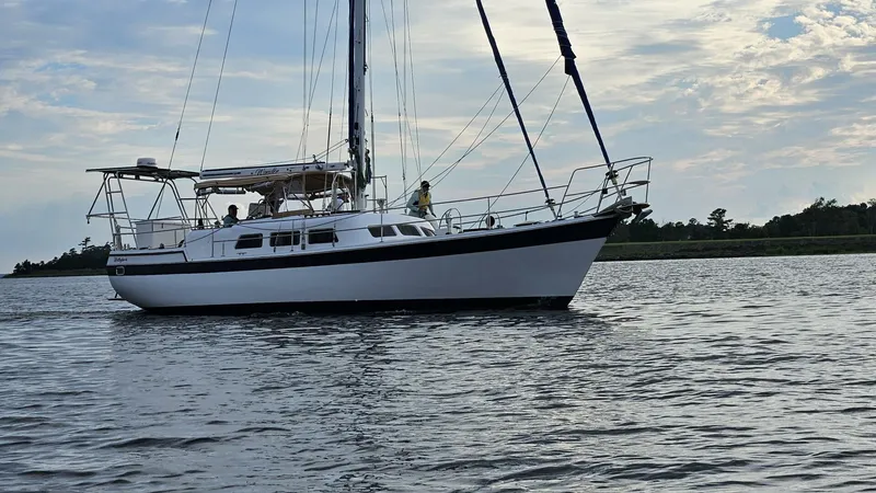 Slide: The Image of Wellington Cutter 1980 - 5644912