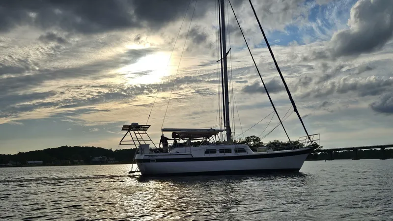 Slide: The Image of Wellington Cutter 1980 - 5644914