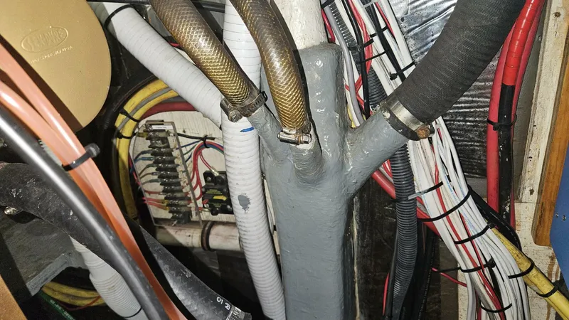 Slide: The Image of Wellington Cutter 1980 - 5645085