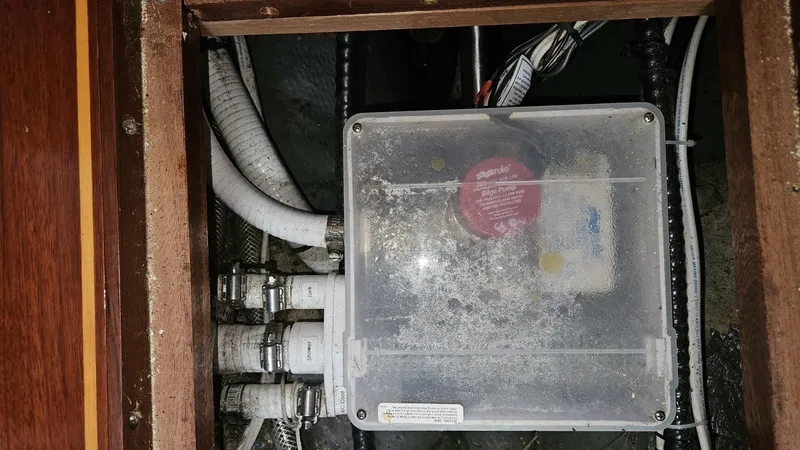 Slide: The Image of Wellington Cutter 1980 - 5645097