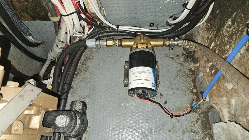 Slide: The Image of Wellington Cutter 1980 - 5645088