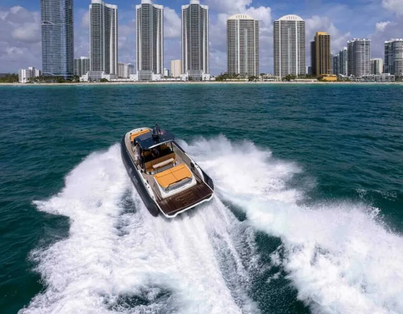 The Image of Sacs Rebel 47 2021 - 5639705