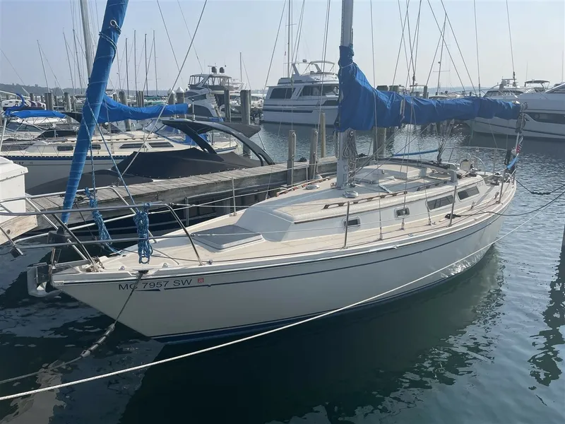 The Image of CAL 31 1983 - 5639739