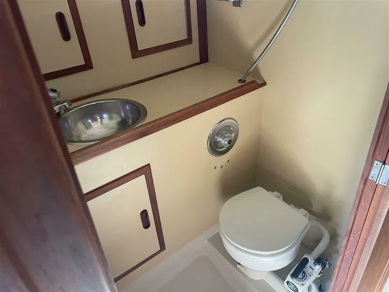 Slide: The Image of CAL 31 1983 - 5639778