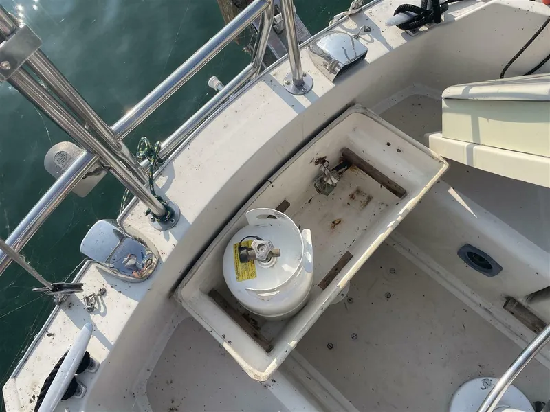 Slide: The Image of CAL 31 1983 - 5639791