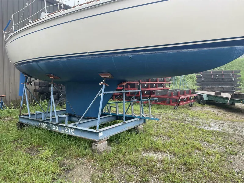 Slide: The Image of CAL 31 1983 - 5639794