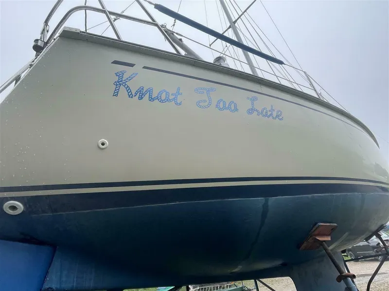 Slide: The Image of CAL 31 1983 - 5639797