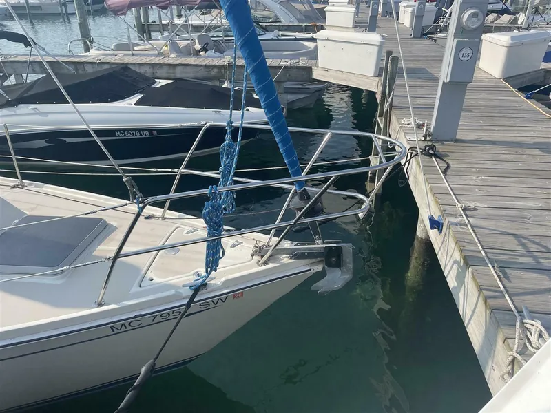 Slide: The Image of CAL 31 1983 - 5639771