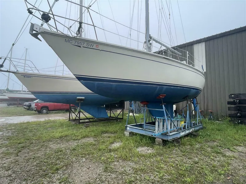 Slide: The Image of CAL 31 1983 - 5639798