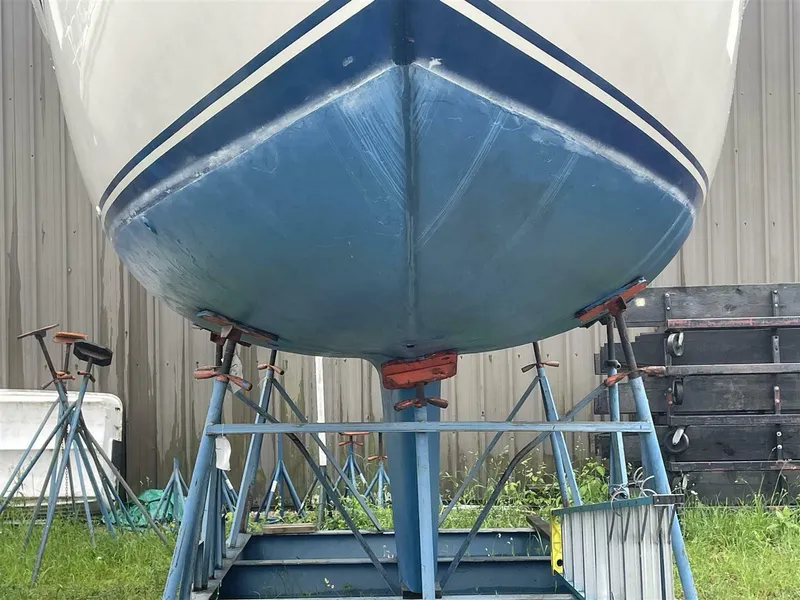 Slide: The Image of CAL 31 1983 - 5639800