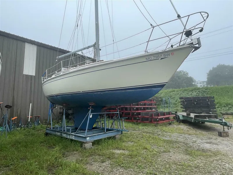 Slide: The Image of CAL 31 1983 - 5639802