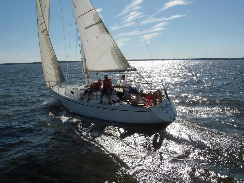 The Image of CAL 2-30 1970 - 5639851