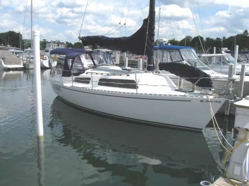 Slide: The Image of Freedom 29 1984 - 5640404