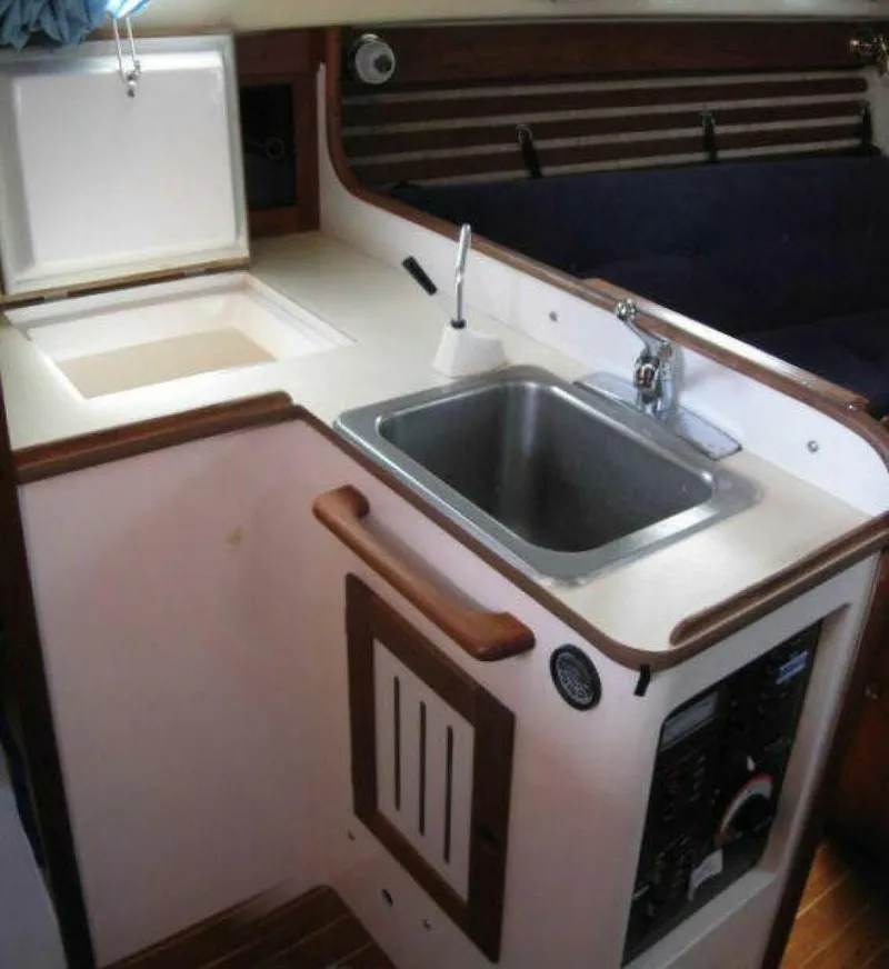 Slide: The Image of Freedom 29 1984 - 5640425