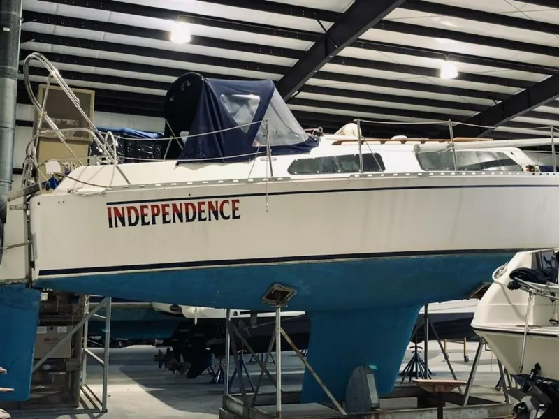 Slide: The Image of Freedom 29 1984 - 5640426