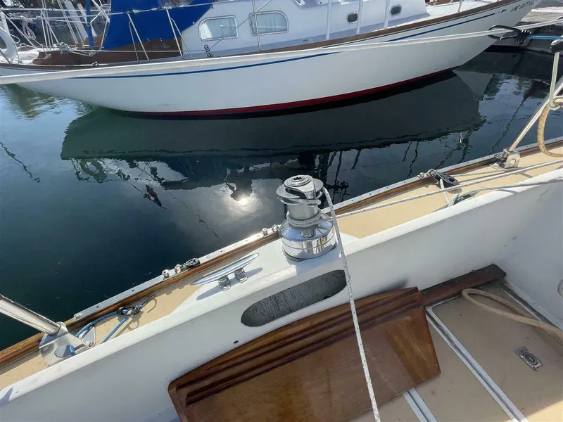 Slide: The Image of Vineyard Vixen 29 1978 - 5640667