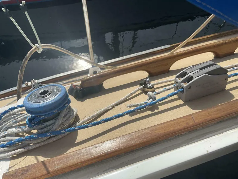 Slide: The Image of Vineyard Vixen 29 1978 - 5640670