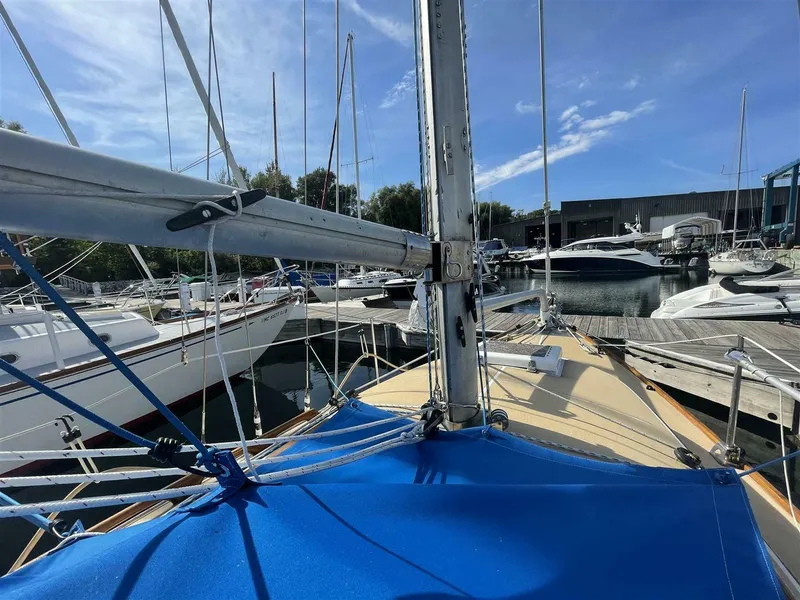 Slide: The Image of Vineyard Vixen 29 1978 - 5640673