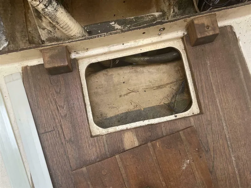 Slide: The Image of Vineyard Vixen 29 1978 - 5640693