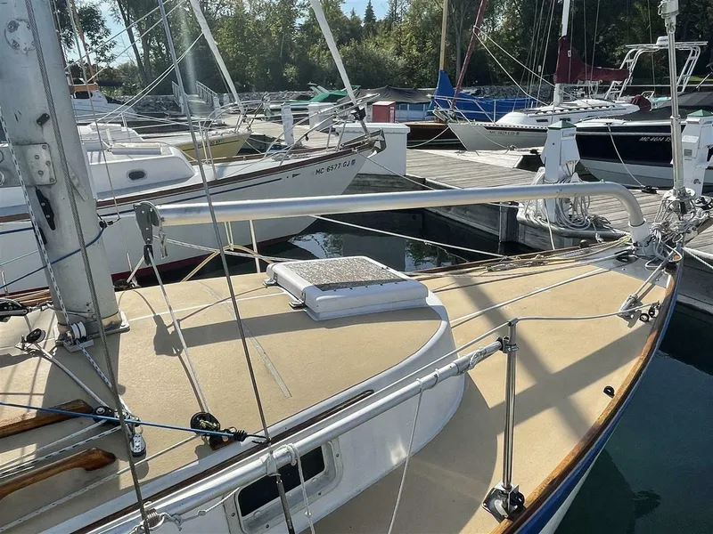 Slide: The Image of Vineyard Vixen 29 1978 - 5640699