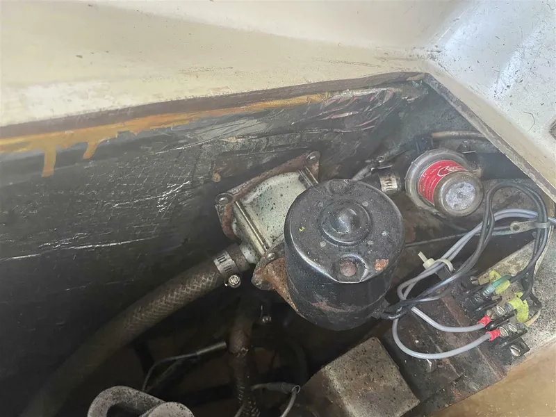 Slide: The Image of Vineyard Vixen 29 1978 - 5640702