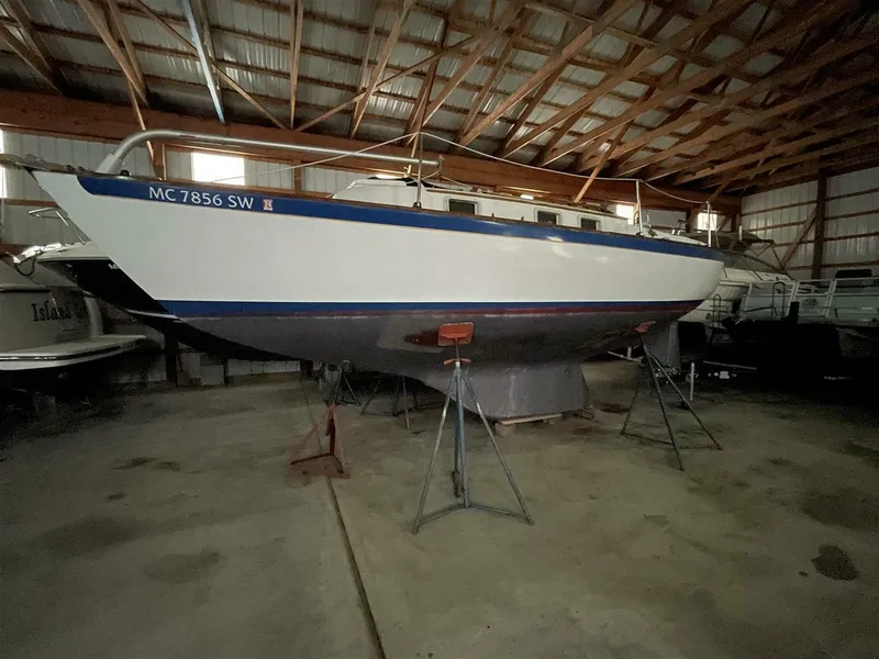 Slide: The Image of Vineyard Vixen 29 1978 - 5640714