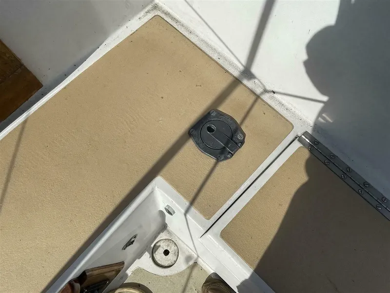 Slide: The Image of Vineyard Vixen 29 1978 - 5640660