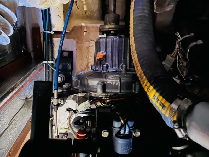 Slide: The Image of Catalina 355 2018 - 5641176