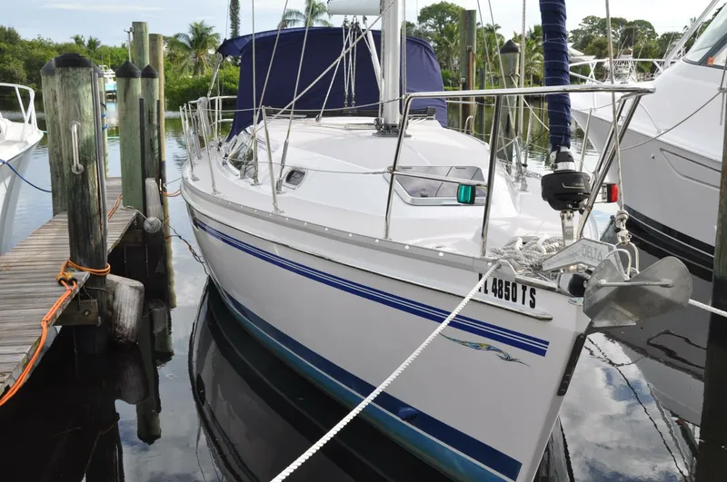 Slide: The Image of Catalina 355 2018 - 5640986