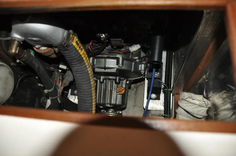 Slide: The Image of Catalina 355 2018 - 5641058