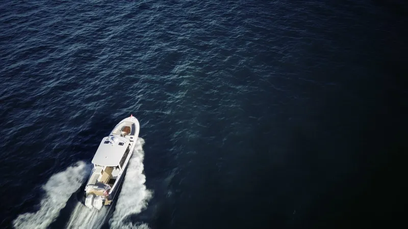 Slide: The Image of MJM 38X 2026 - 5809116