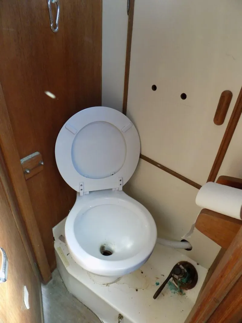 Slide: The Image of Head - 5642927