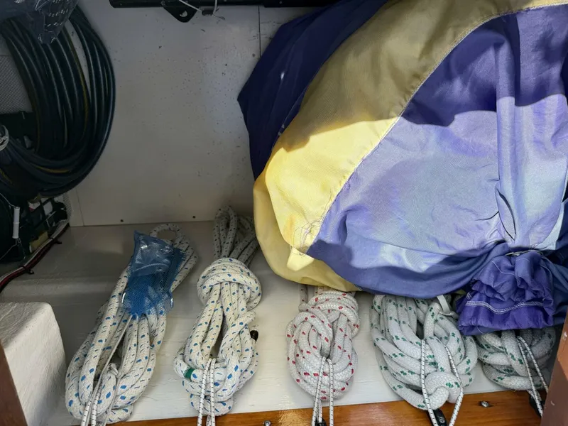 Slide: The Image of Tayana 55 1984 - 5645106