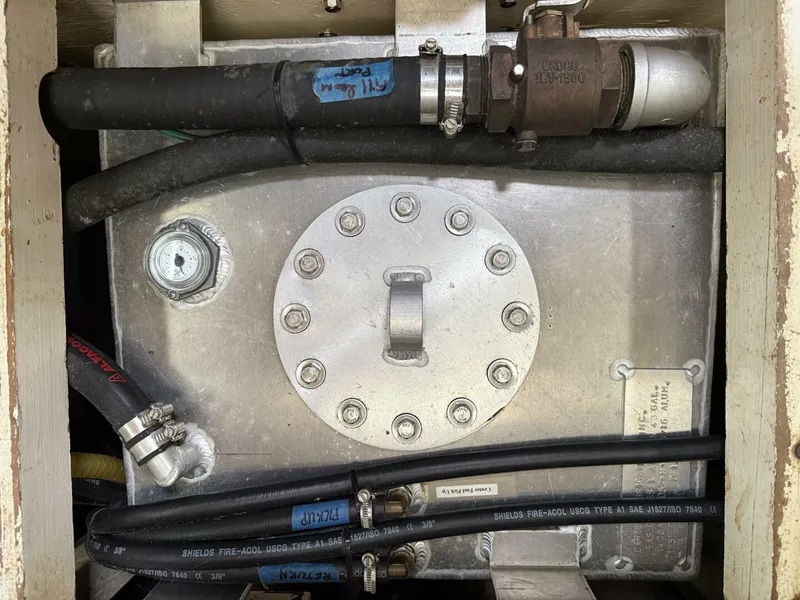 Slide: The Image of Tayana 55 1984 - 5644901