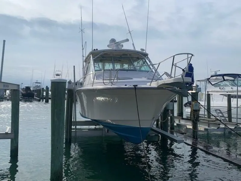 Slide: The Image of 0005367824 - 5643486