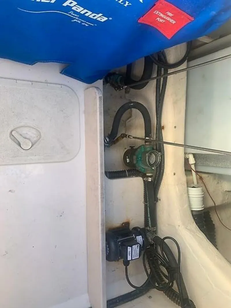 Slide: The Image of 0005375968 - 5643539