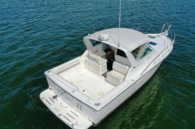 Slide: The Image of Tiara 3100 open 2001 - 5644060