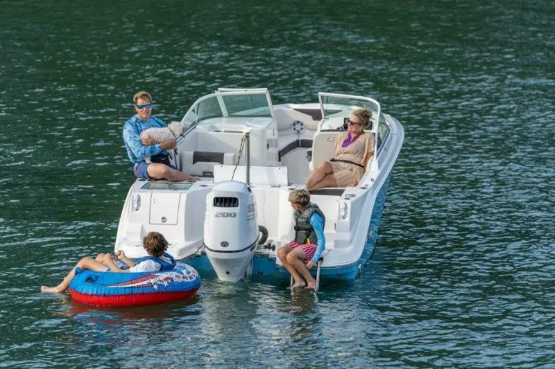 Slide: The Image of Sail Fish 226 Dual Console 2024 - 5644769